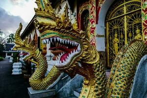 uma Dragão escultura foto