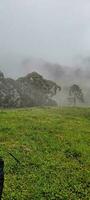 Visão do a montanhas do minas gerais Brasil foto