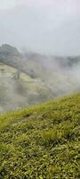 Visão do a montanhas do minas gerais Brasil foto