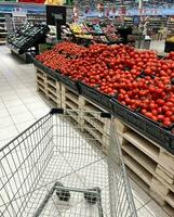 Moscou, Rússia - fevereiro 24 , 2023 comprador carrinho dentro vegetal departamento supermercado foto