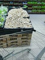 comprador carrinho dentro vegetal departamento supermercado foto