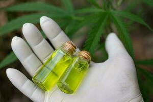feche uma garrafa de vidro com óleo cbd e folha de cannabis ao fundo