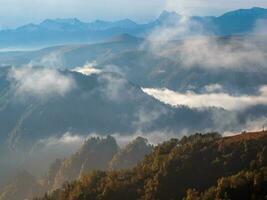 montanhas dentro uma denso névoa e ensolarado declive. místico panorama com lindo afiado pedras dentro baixo nuvens. lindo montanha nebuloso cenário em abismo Beira com afiado floresta encostas. surpreendente terra. foto