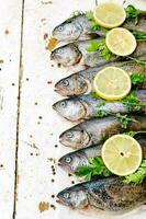 fresco peixe em a mercado foto