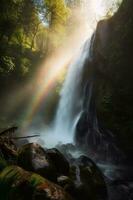 lindo cascata dentro floresta com luz exposição foto