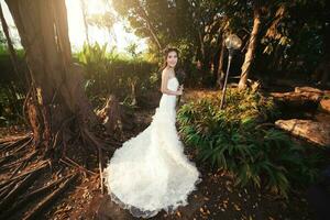 ásia menina dentro Casamento vestir foto