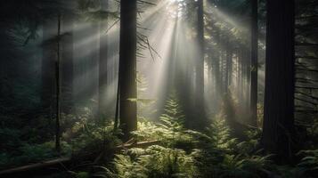 lindo floresta do abeto árvores, raios solares através névoa crio místico atmosfera, generativo ai foto