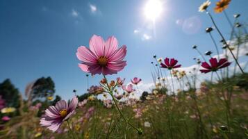 lindo cosmos flores florescendo dentro jardim, generativo ai foto