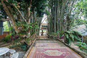 legal cafeteria com bambu e de madeira mobília foto