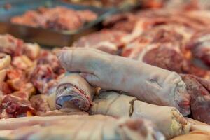 porco cascos para venda às carne mercado dentro norte Tailândia foto