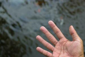 enrugado mão dentro uma piscina foto