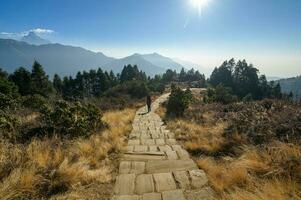 uma jovem viajante caminhada em floresta trilha , Nepal foto