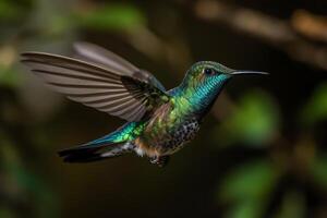 deslumbrante beija Flor dentro voar cativante animais selvagens fotografia. ai gerado foto