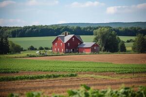 Campos com uma vermelho celeiro dentro a horário de verão campo campo configuração Fazenda construção Fazenda Educação. ai gerado foto