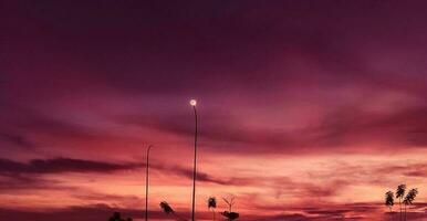 lindo noite céu com poucos árvores foto