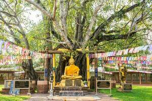 Buda com a primeiro bodhi árvore wat sri maha Panela, Tailândia foto