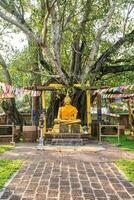 Buda com a primeiro bodhi árvore wat sri maha Panela, Tailândia foto