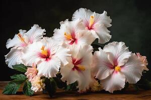 grupo do branco e Rosa hibisco flores ai gerado foto