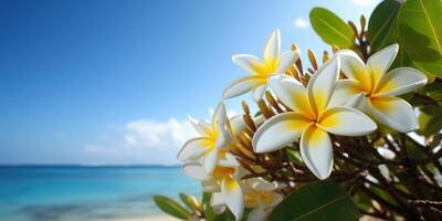 plumeria frangipani em tropical mar e de praia azul céu fundo, verão festivo tempo. generativo ai foto