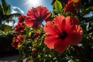 ilha paraíso hibisco flores brilhante dentro a Sol. ai gerado foto