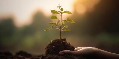 mão segurando árvore plantar fundo. mundo meio Ambiente dia e terra dia. generativo ai foto