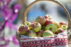 vime cesta com maçãs em uma borrado fundo. a conceito do uma rico colheita. foto