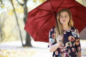 lindo jovem mulher dentro a outono parque com a guarda-chuva. foto