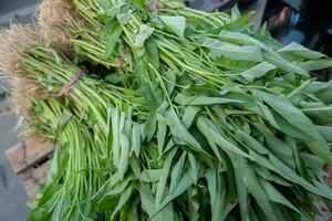 vegetal e erva, pilha do água espinafre ou ipomoea aquatica vendendo às fresco mercado. dentro indonésio isto é chamado kangkung foto