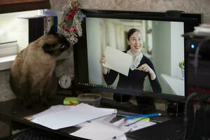 mulher professor às a computador monitor tela. conectados Aprendendo fique às lar, quarentena e social distanciar. foto