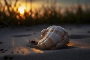 grande branco Sehell em a arenoso praia, criada com generativo ai foto