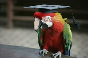 graduado papagaio escola. gerar ai foto