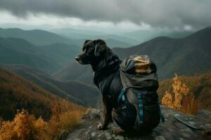 cachorro viajante com viagem mochila. gerar ai foto