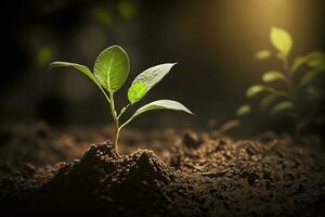 jovem plantar crescendo às luz solar. salvando ambiente, Salve  limpar \ limpo planeta, ecologia conceito.mundo terra dia bandeira ai gerado foto