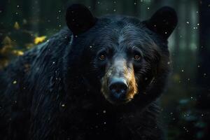 fechar-se retrato do uma europeu Castanho urso. neural rede ai gerado foto