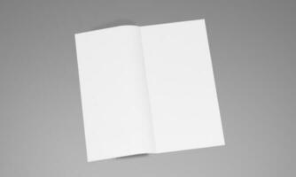 em branco retrato papel brincar. folheto revista, branco mutável fundo papel isolado em cinzento Boa para seu o negócio brincar foto