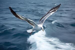 a albatroz spreads Está asas e moscas sobre a água, generativo ai. foto