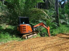 kuaro Kalimantan timur, Indonésia 28 abril 2023. pesado escavadora escavação solo dentro óleo Palma plantação foto