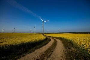 panorama com uma campo do amarelo estupro com uma azul sem nuvens céu e ecológico vento fazendas foto