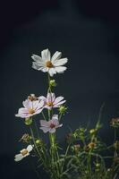 pequeno verão flores crescendo dentro a jardim entre verde folhagem fundo em uma caloroso dia foto