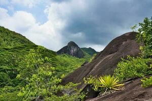 anse principal natureza trilha, enorme granito pedra, exuberante vegetação foto