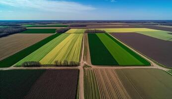 generativo ai, Fazenda paisagem, agrícola trigo Campos, lindo interior, país estrada. natureza ilustração, fotorrealista topo Visão drone, horizontal bandeira. foto