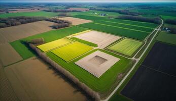 generativo ai, Fazenda paisagem, agrícola trigo Campos, lindo interior, país estrada. natureza ilustração, fotorrealista topo Visão drone, horizontal bandeira. foto