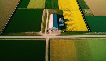 generativo ai, Fazenda paisagem, agrícola trigo Campos, lindo interior, país estrada. natureza ilustração, fotorrealista topo Visão drone, horizontal bandeira. foto