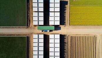 generativo ai, Fazenda paisagem, agrícola trigo Campos, lindo interior, país estrada. natureza ilustração, fotorrealista topo Visão drone, horizontal bandeira. foto