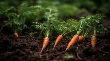 generativo ai, linha do fresco cenouras com verde folhas em a chão, legumes dentro a jardim, uma Boa colheita do eco produtos. foto