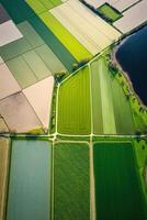 generativo ai, Fazenda paisagem, agrícola Campos, lindo interior, país estrada. natureza ilustração, fotorrealista topo Visão drone, vertical formato foto