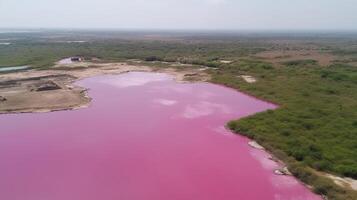 etéreo Vejo do Rosa lago, deslumbrante Vejo a partir de costa. ai gerado foto