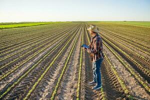 agricultor homem ao ar livre de a soja colheita plantas foto