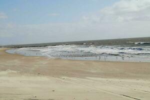 a sem fim de praia às a norte mar hvidbjerg encalhar blavand Dinamarca foto