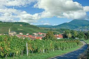 vinho Vila do birkweiler,palatinado vinho região, alemanha foto